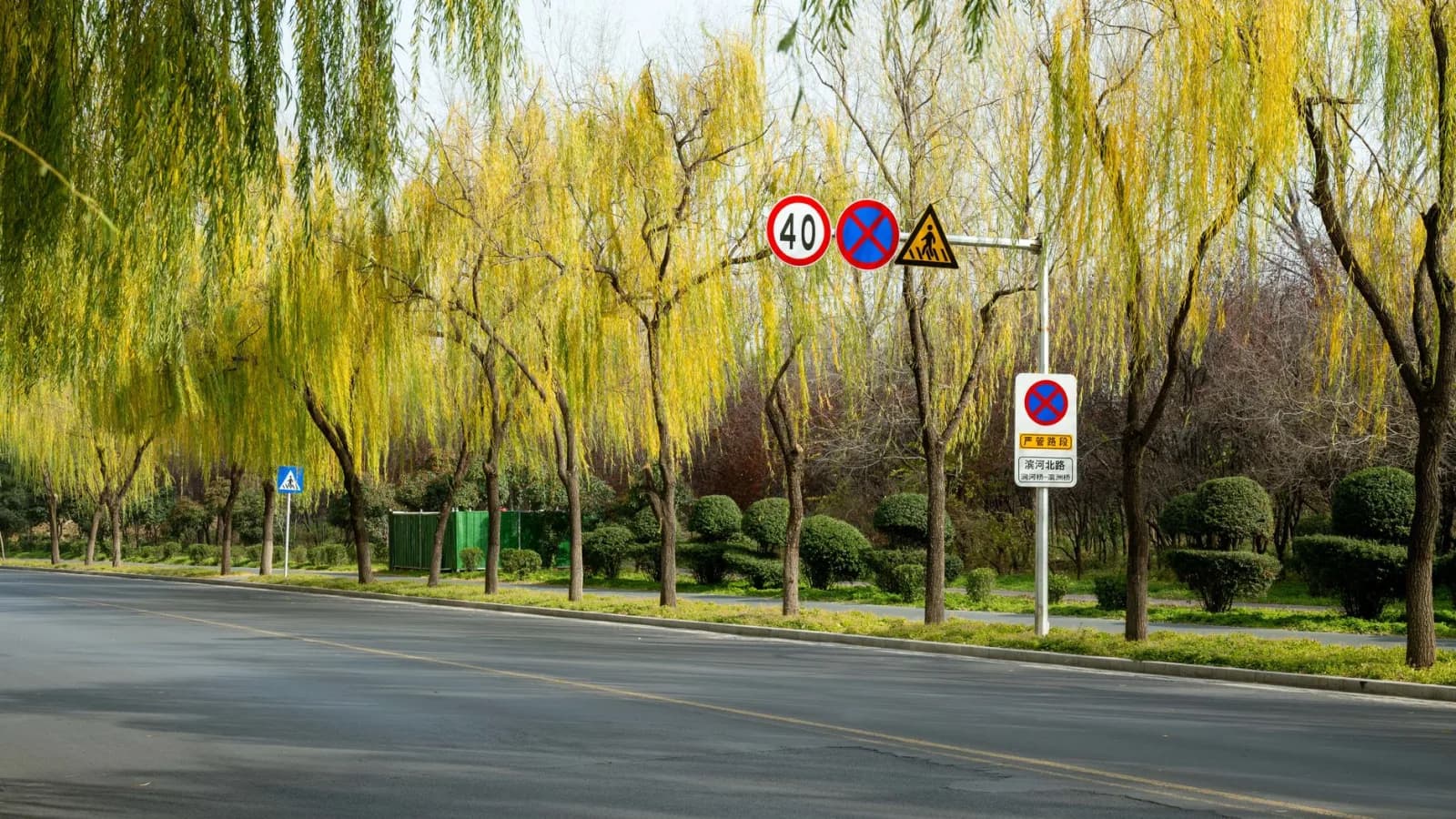 Rrugë e qetë me pemë anash dhe shenja të trafikut rrugor në Kinë