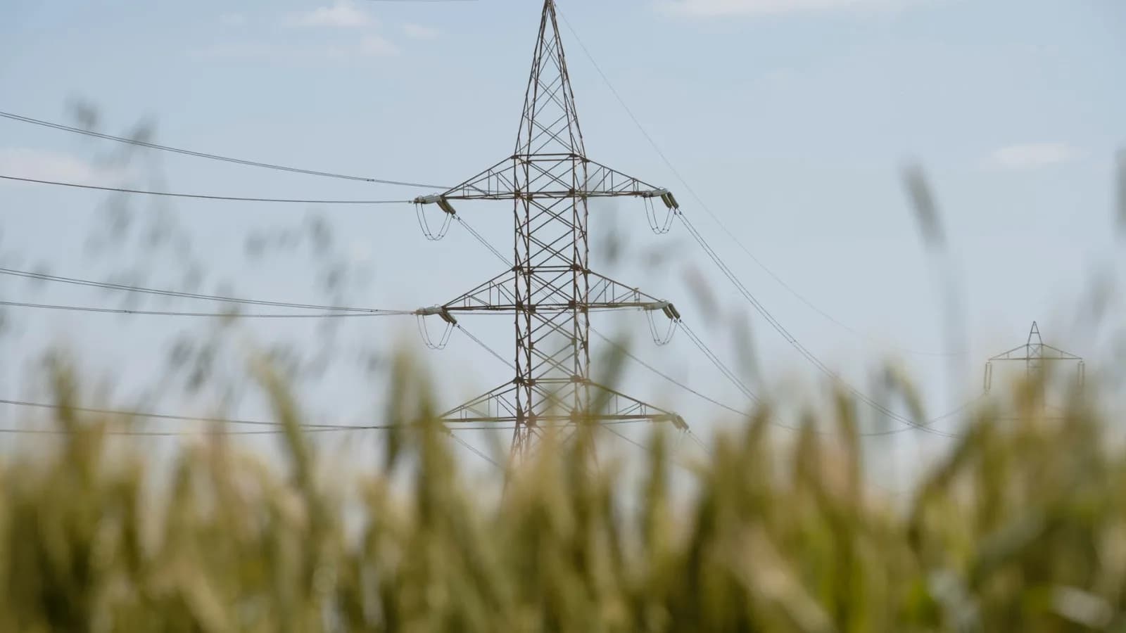Kullë e transmetimit të energjisë elektrike në një fushë me grurë.