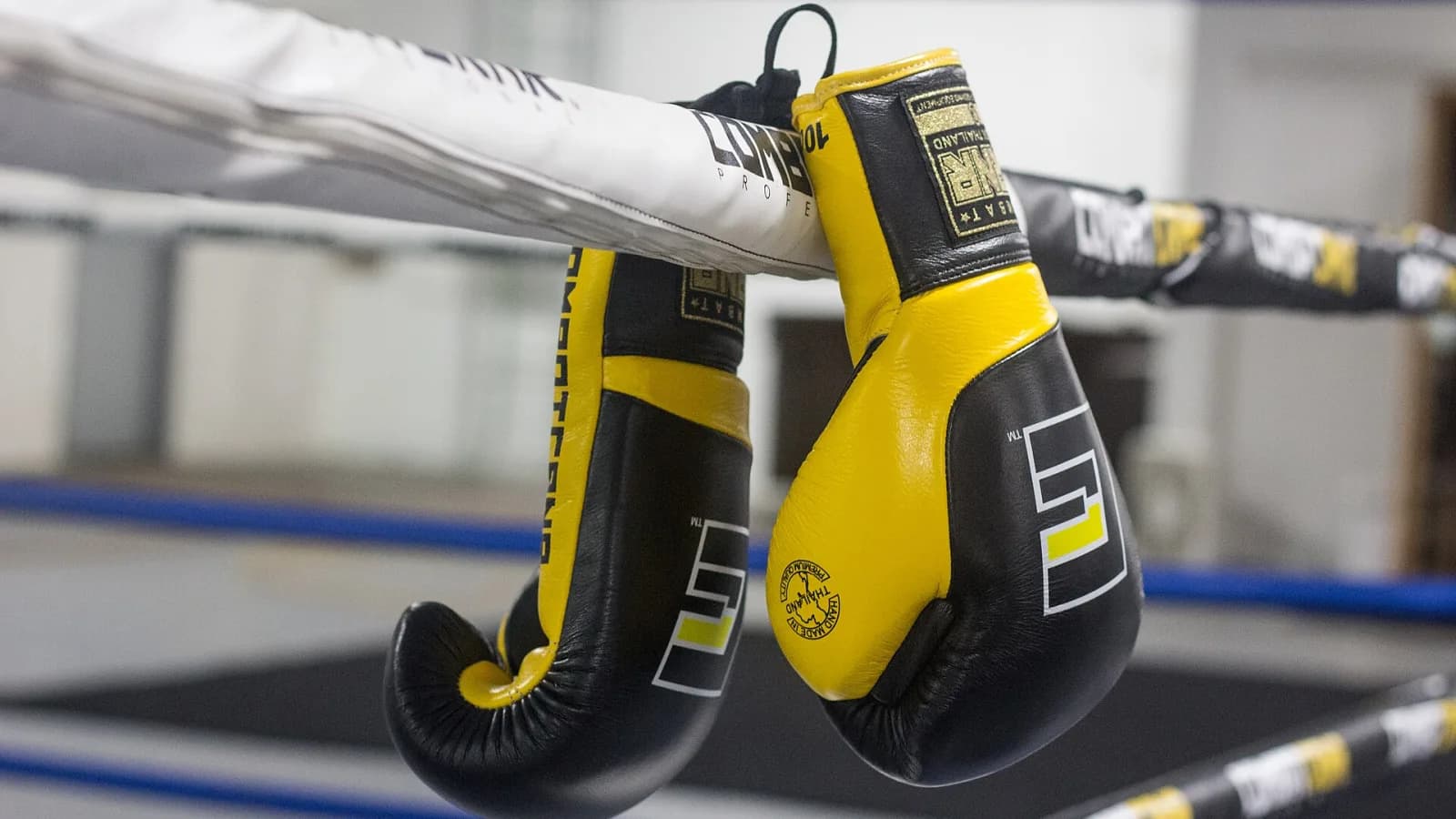 Boksieri shqiptar Kristian Prenga dhe boksieri britanik Anthony Joshua në ringun e boksit.